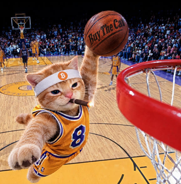 Buy The Cat meme — cat basketball dunk with a Buy The Cat ball