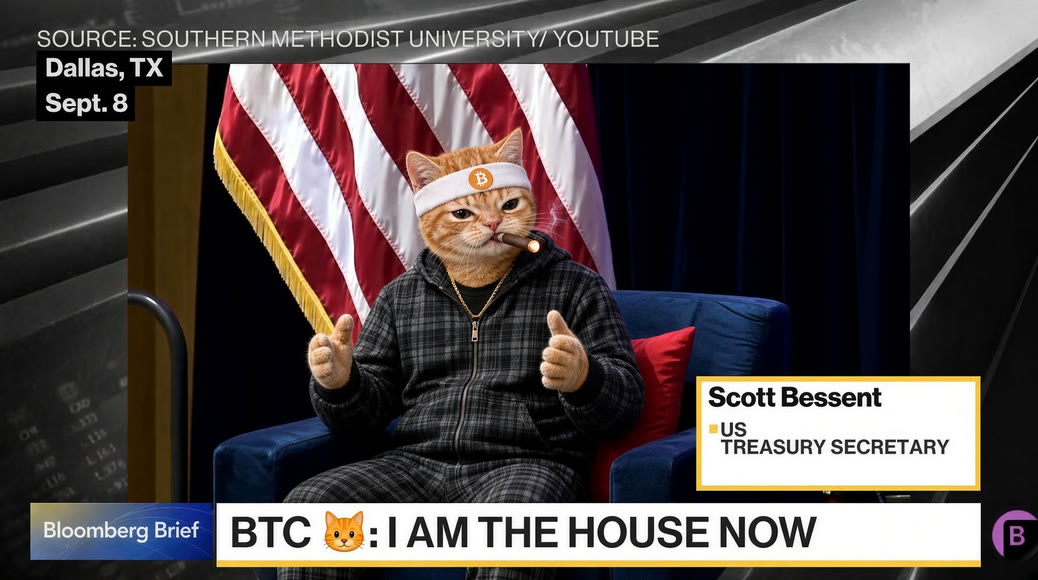 Buy The Cat meme — Bloomberg lower-third, BTC cat: I am the house now
